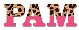 Cheetah Pink Wall letters